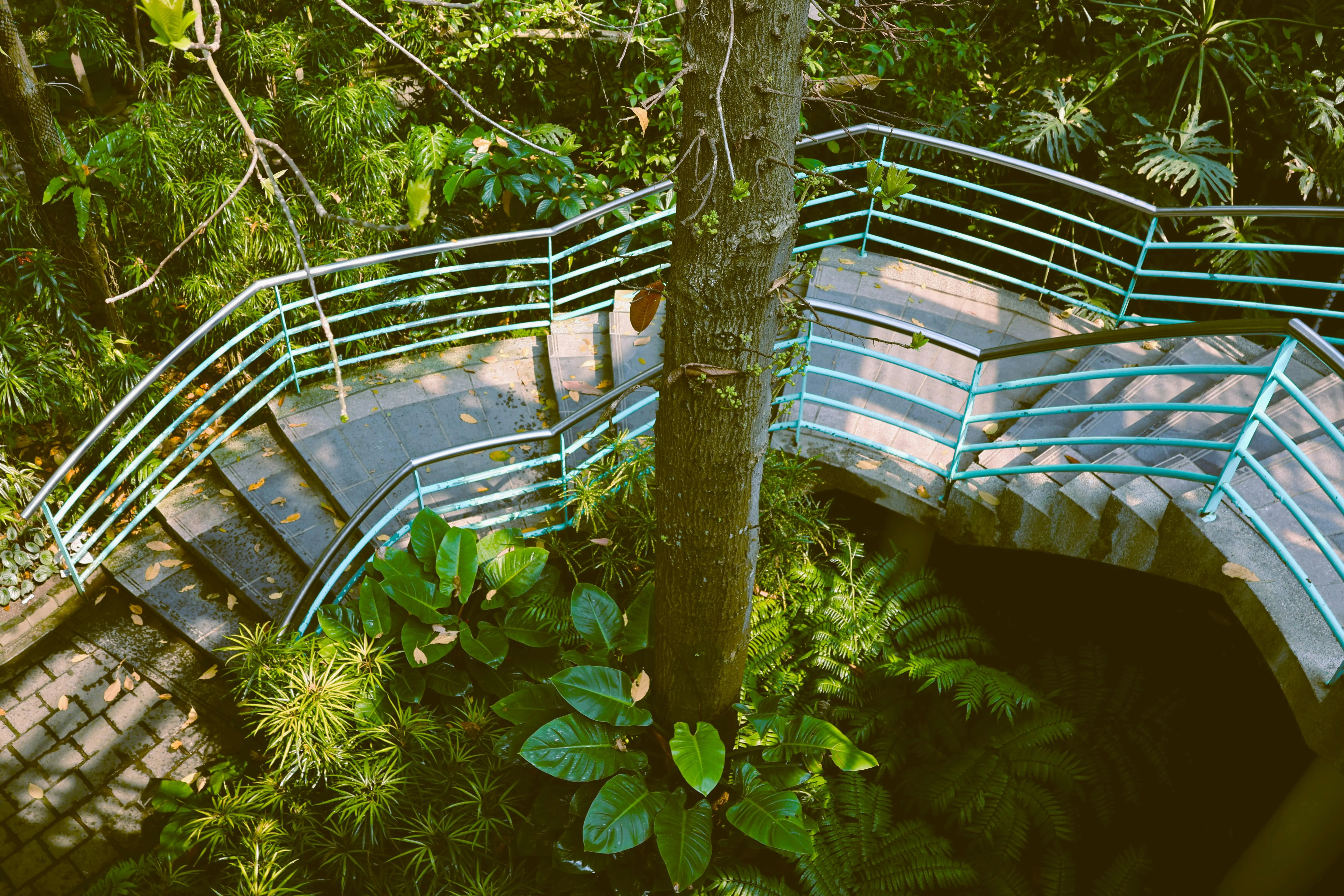 Greens & Outdoors at SUGAM VILLA 18, Narendrapur, Kolkata